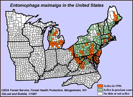 US distribution map